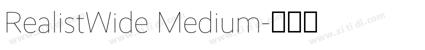 RealistWide Medium字体转换